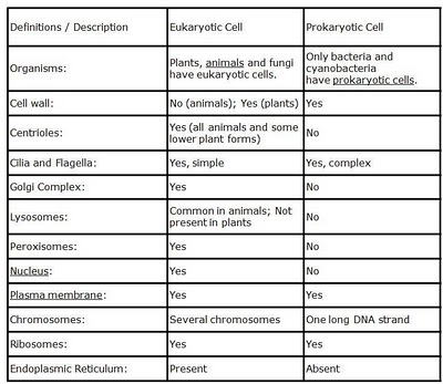 Chart Showing Differences Between Prokaryotic And Eukaryotic Cells
